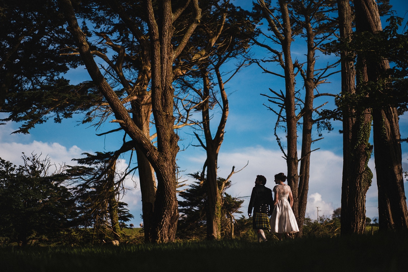 cornish camels wedding photography